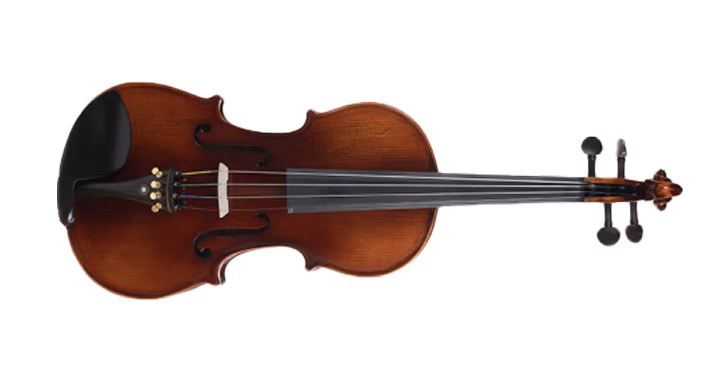 Beginner's Guide to Violin Buying: 3 Major Pitfalls to Avoid + 9 Cost ...